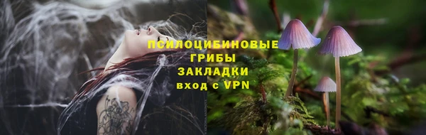 кокс Абаза